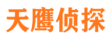 宁河侦探公司